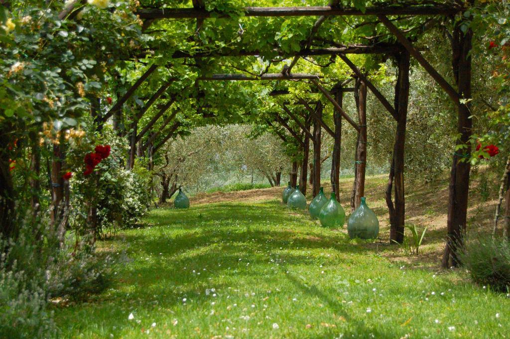 Agriturismo Casale Dei Frontini San Terenziano Exterior photo