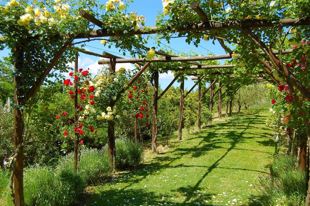Agriturismo Casale Dei Frontini San Terenziano Exterior photo