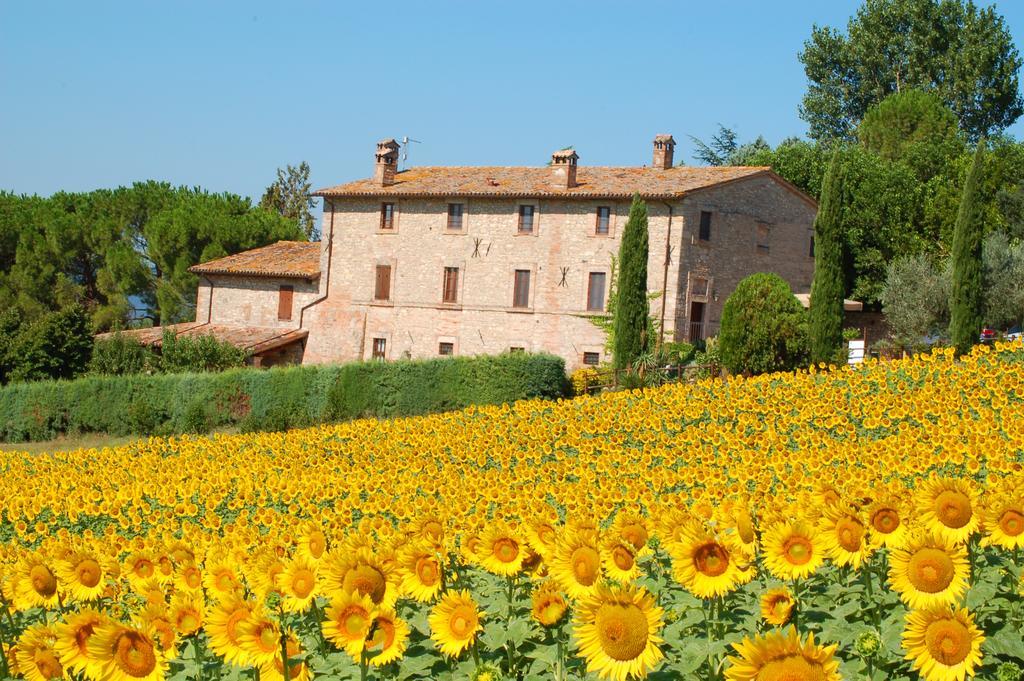 Agriturismo Casale Dei Frontini San Terenziano Exterior photo